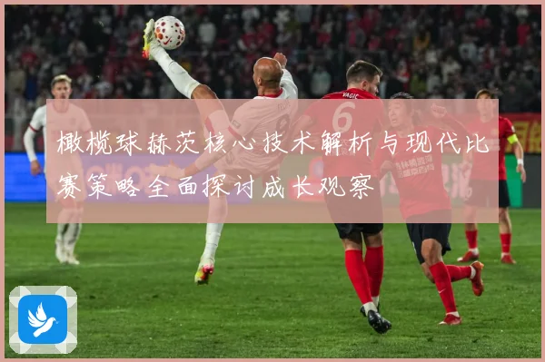 橄榄球赫茨核心技术解析与现代比赛策略全面探讨成长观察