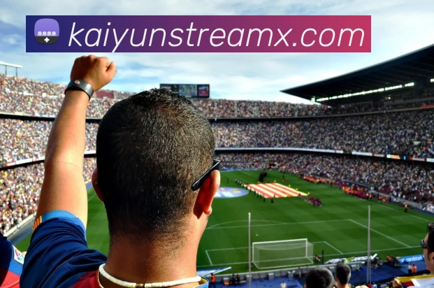 开云平台展示图